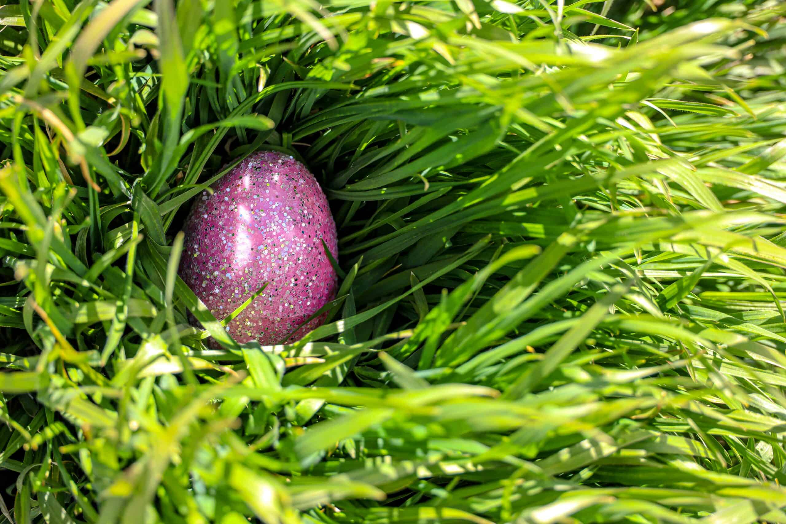 Easter Egg Hunt in Mesta Park